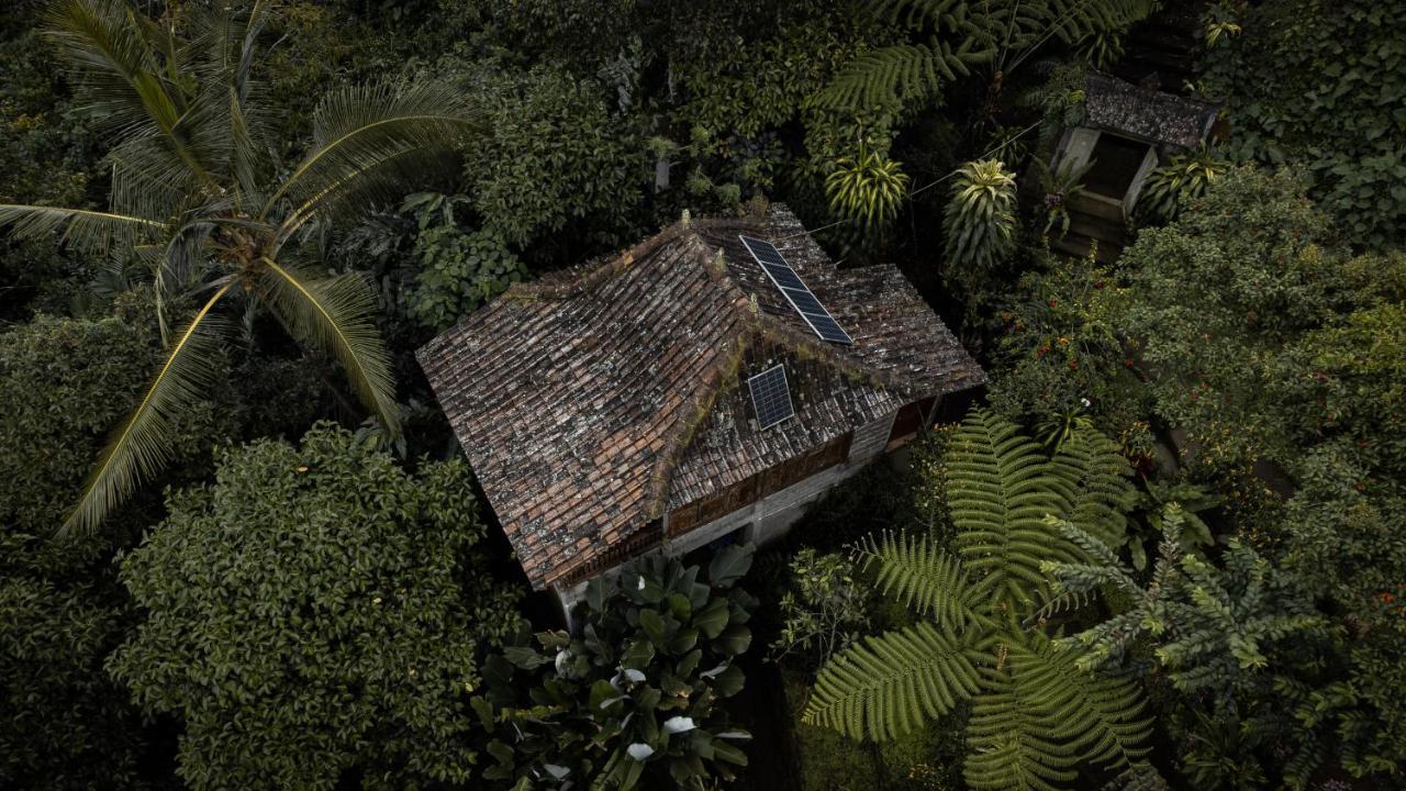 Kebun Kita Eco Lodge Padangan  Екстер'єр фото