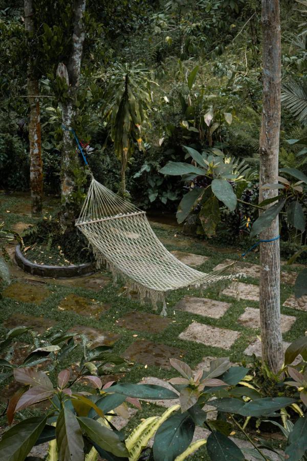 Kebun Kita Eco Lodge Padangan  Екстер'єр фото