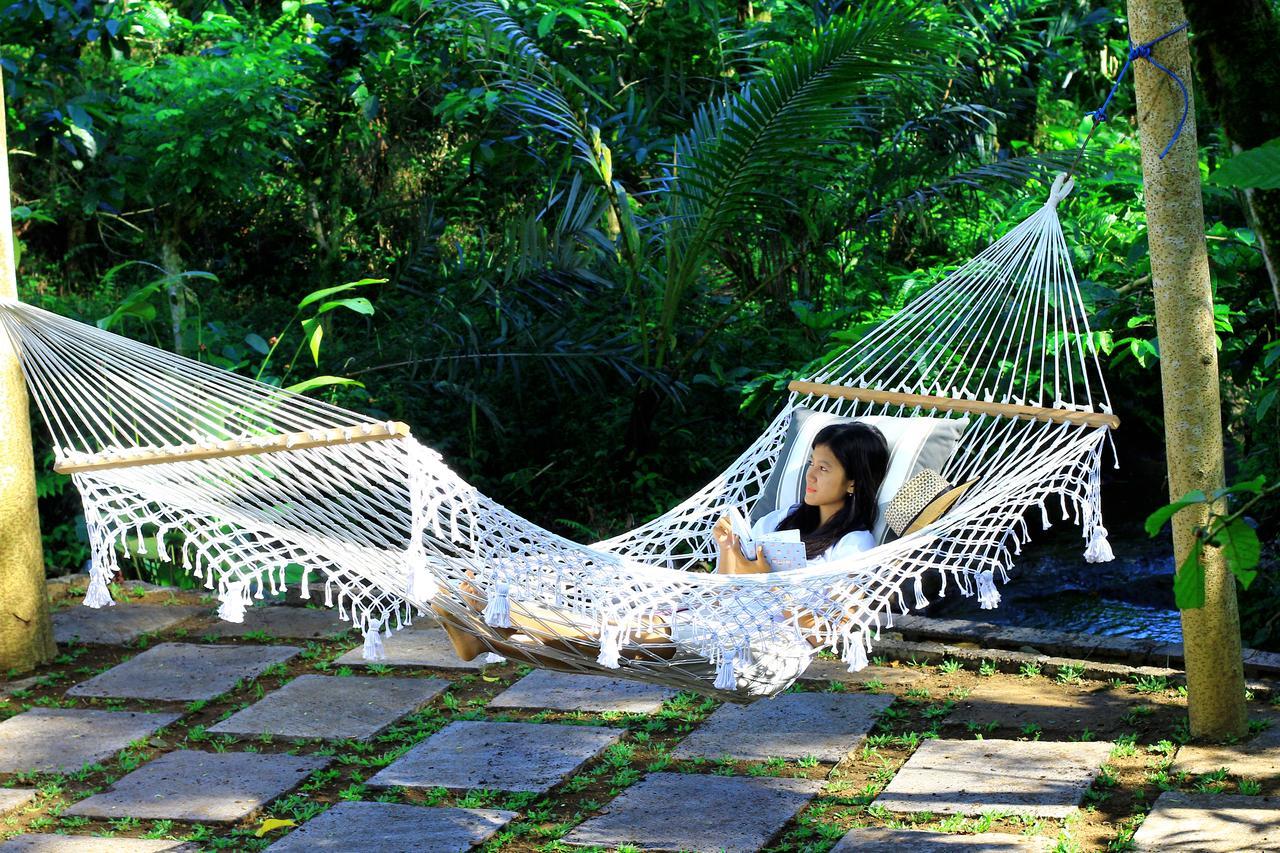 Kebun Kita Eco Lodge Padangan  Екстер'єр фото